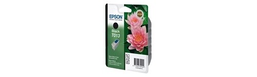 T013 Epson